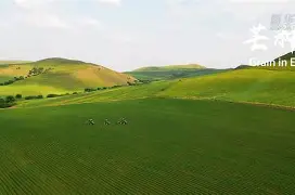 湖景城向前突进，展现出色表现的简单介绍