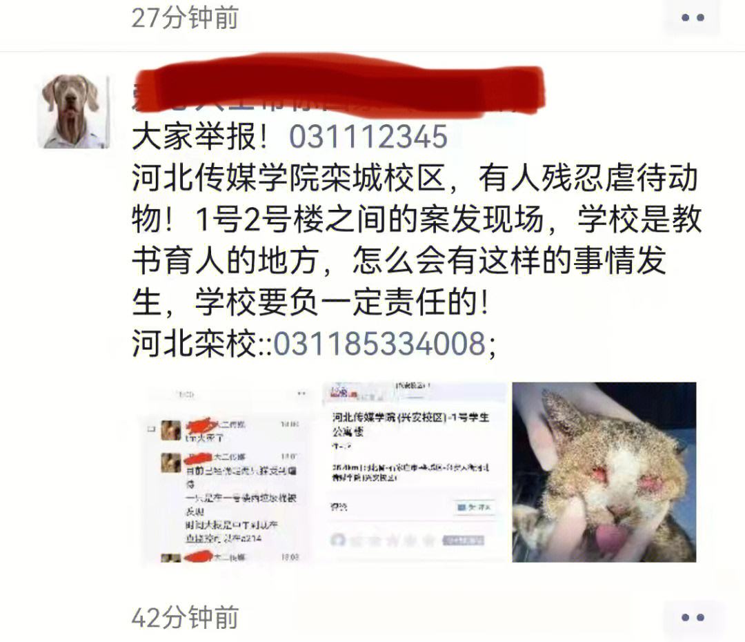 球员交易谣言瑞士一传十十传百