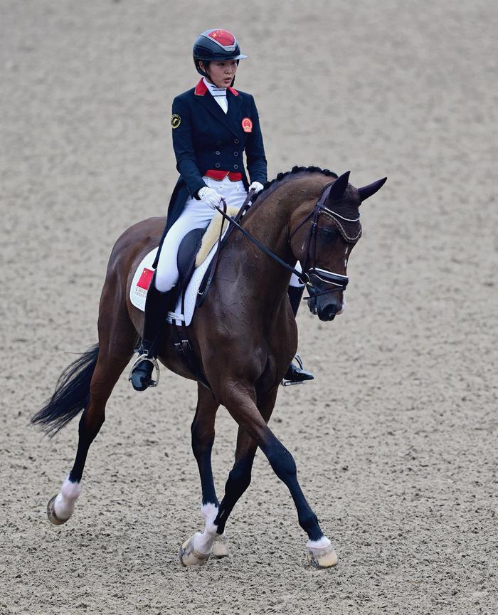 爱尔兰选手在马术项目中夺冠