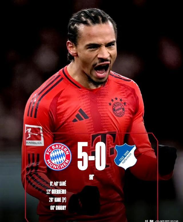 霍芬海姆取得连胜,势不可挡朝着冠军前进的简单介绍 霍芬海姆取得连胜,势不可挡朝着冠军前进的简单介绍