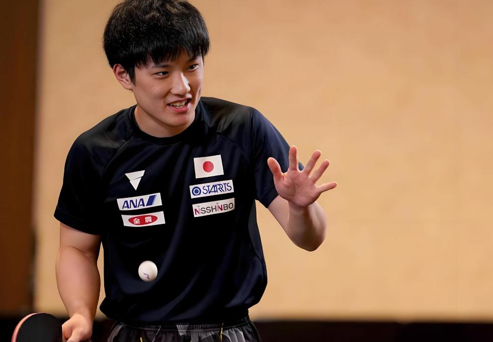 关于波兰队力克日本队，张本智和高光表现的信息